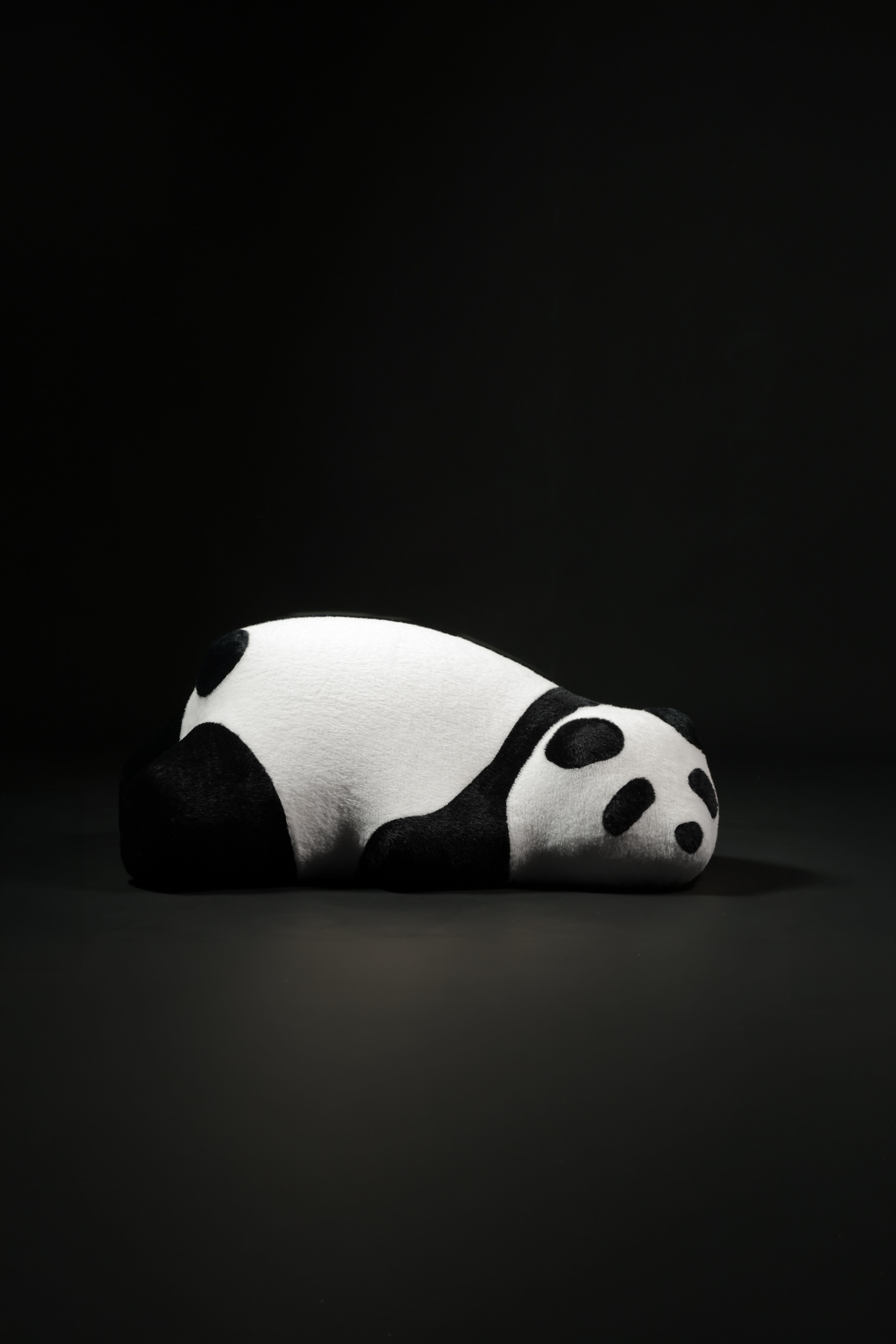 Lazy Panda