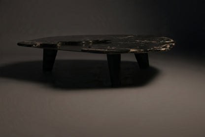 Silvara Coffee Table Set