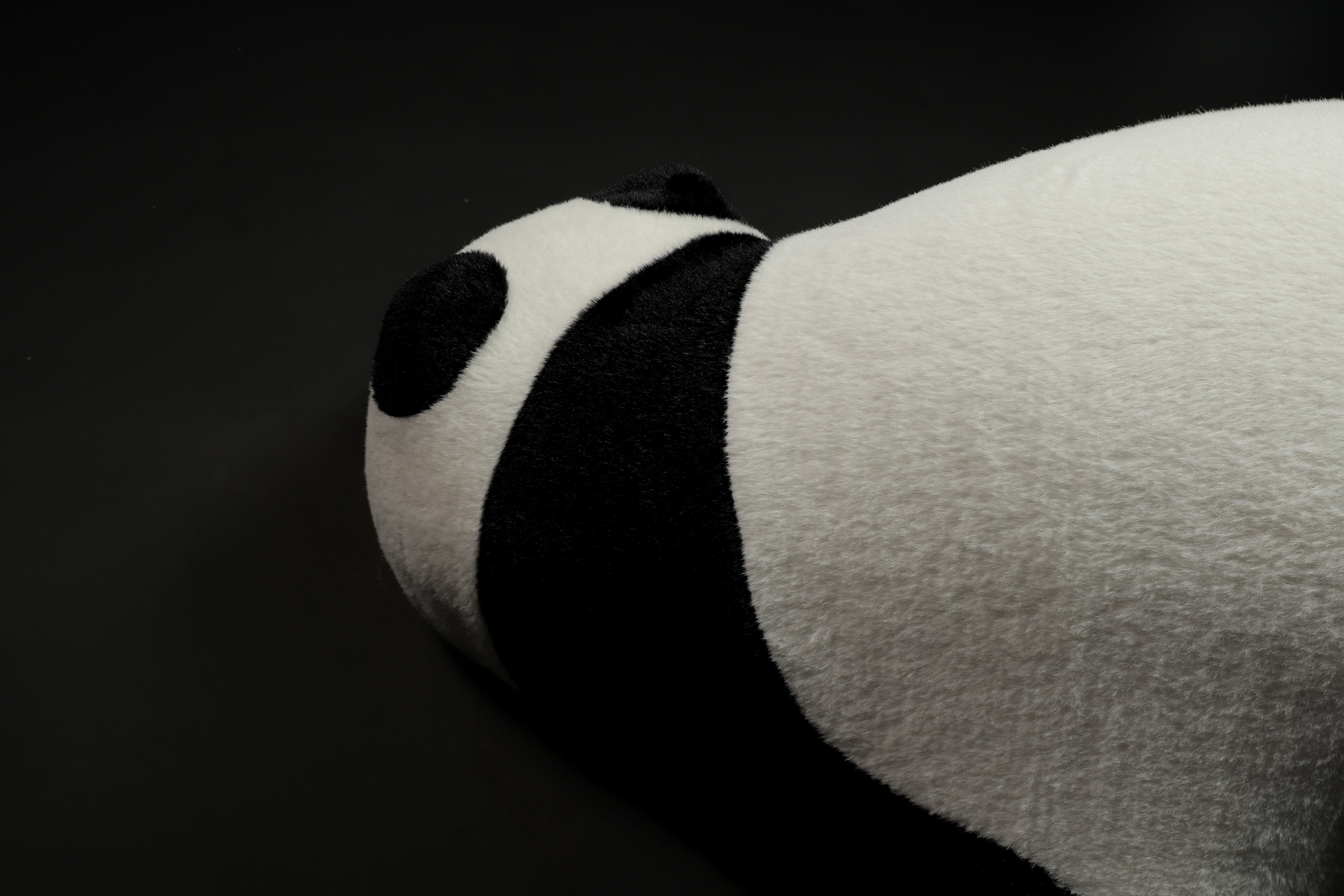 Lazy Panda